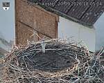 Capi_Dubne_20260927_180504.jpg