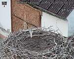 Capi_Dubne_20260927_185003.jpg