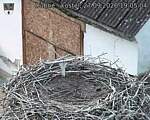 Capi_Dubne_20260927_190504.jpg