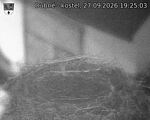 Capi_Dubne_20260927_192503.jpg