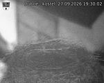 Capi_Dubne_20260927_193002.jpg