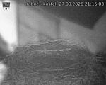 Capi_Dubne_20260927_211503.jpg