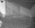 Capi_Dubne_20260927_232003.jpg