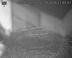 Capi_Dubne_20260927_234003.jpg