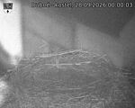 Capi_Dubne_20260928_000003.jpg