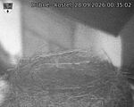 Capi_Dubne_20260928_003502.jpg