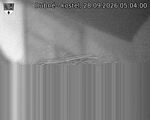 Capi_Dubne_20260928_050400.jpg