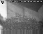 Capi_Dubne_20260928_060050.jpg