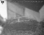 Capi_Dubne_20260928_062117.jpg