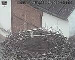 Capi_Dubne_20260928_065502.jpg