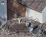 Capi_Dubne_20260928_092502.jpg