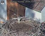 Capi_Dubne_20260928_094504.jpg