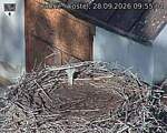 Capi_Dubne_20260928_095504.jpg