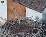 Capi_Dubne_20260928_101503.jpg