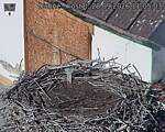 Capi_Dubne_20260928_110503.jpg