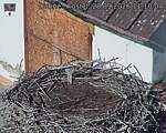 Capi_Dubne_20260928_111004.jpg