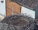 Capi_Dubne_20260928_122503.jpg