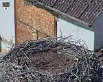 Capi_Dubne_20260928_134004.jpg