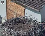Capi_Dubne_20260928_143002.jpg