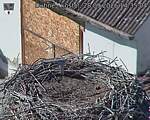 Capi_Dubne_20260928_143504.jpg