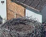 Capi_Dubne_20260928_144003.jpg
