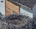 Capi_Dubne_20260928_153502.jpg