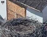 Capi_Dubne_20260928_154004.jpg