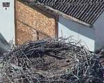Capi_Dubne_20260928_154503.jpg