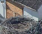 Capi_Dubne_20260928_161004.jpg
