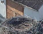 Capi_Dubne_20260928_163504.jpg