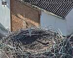 Capi_Dubne_20260928_164004.jpg