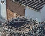Capi_Dubne_20260928_164502.jpg