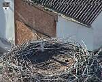 Capi_Dubne_20260928_165004.jpg