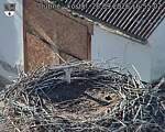 Capi_Dubne_20260928_165502.jpg