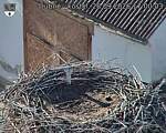 Capi_Dubne_20260928_170003.jpg