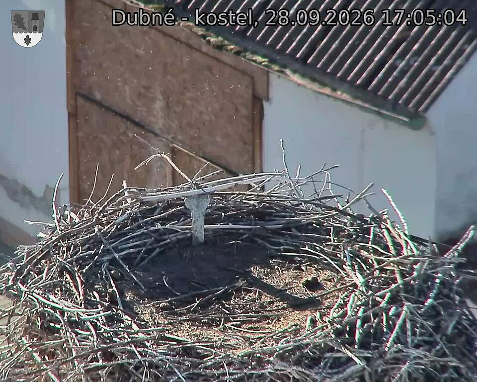 Capi_Dubne_20260928_170504.jpg (1350&nbsp;x&nbsp;1080)