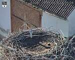 Capi_Dubne_20260928_170504.jpg
