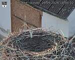 Capi_Dubne_20260928_180002.jpg