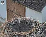 Capi_Dubne_20260928_180502.jpg