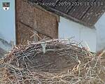 Capi_Dubne_20260928_182004.jpg