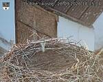 Capi_Dubne_20260928_182504.jpg