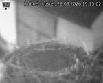 Capi_Dubne_20260928_191502.jpg