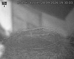 Capi_Dubne_20260928_193003.jpg
