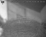 Capi_Dubne_20260928_193503.jpg
