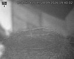 Capi_Dubne_20260928_194002.jpg