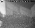 Capi_Dubne_20260928_213003.jpg