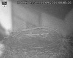Capi_Dubne_20260929_000503.jpg