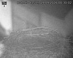 Capi_Dubne_20260929_003002.jpg