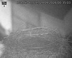 Capi_Dubne_20260929_003503.jpg