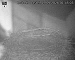 Capi_Dubne_20260929_014503.jpg